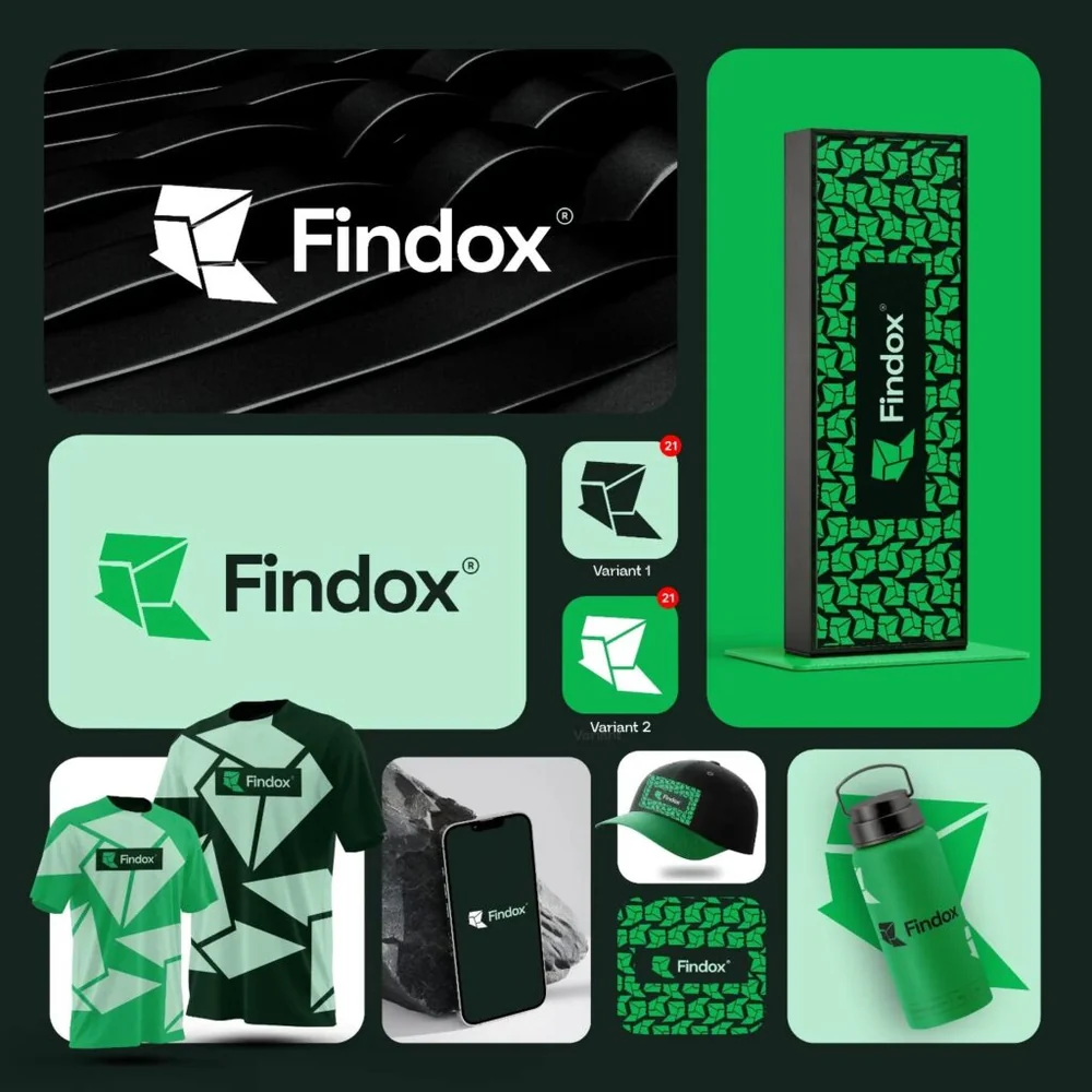 Identidade visual criada para Findox